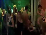 Cfnm Nightclub Blowjobs By European Sluts