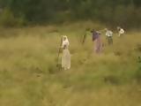 Field Worker Gets Fucked In A Woods
