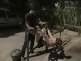 Bound to railing redhead babe fucked outdoors