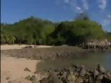Sex On The Beach  Blonde Threesome