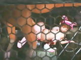 Chained 3d Animated Cutie With Big Tits Monster Horse Fucked