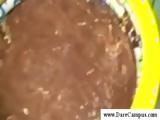 College guys wrestling in chocolate