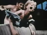 Brutal Vintage Gay Rape