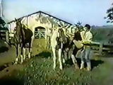 A Menina do Sexo Diabolico (1988) 12 xLx