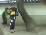 Sharking Geisha Dressed Japanese Women
