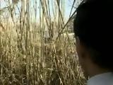 Granny Fucked In The Mud  Rape Fantasy