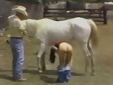 Horses and Naughty Girls
