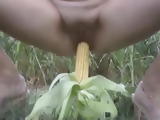 Amateur Girl Fucks Corn Cob In The Open Field