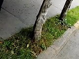 Sexy ama de casa va al mandado