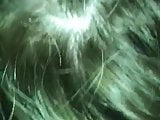 Good head