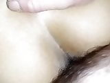 Levrette
