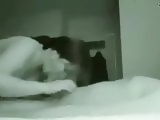Asian escort hidden cans. Both angles
