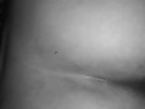 BBC backshots