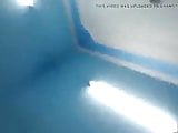 Desi shimla sex