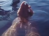 All dat Azz pt10