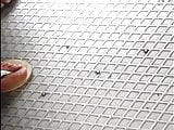 candid girls feet
