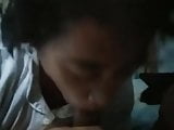 Indo blowjob