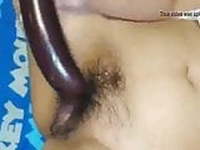 Pussy 