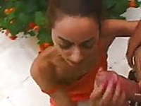 Shaina sucking big cocks 