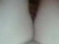 ghada kalmani watts 01090668803