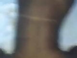 Ebony