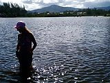Patito en lago de Garopaba - Feb. 2020