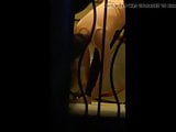 Another great look at my pawg mom through her window
