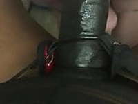 Mistress cock 