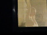 College Window 8a