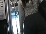 Phatty on da bus
