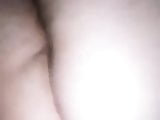 Zaml