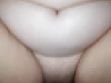 Lisa la vacca 