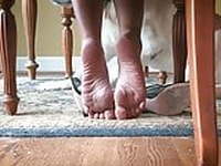 Soles
