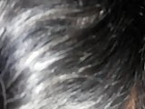 Basri 