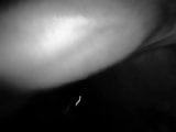 Late night stroking