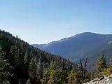 Dasi